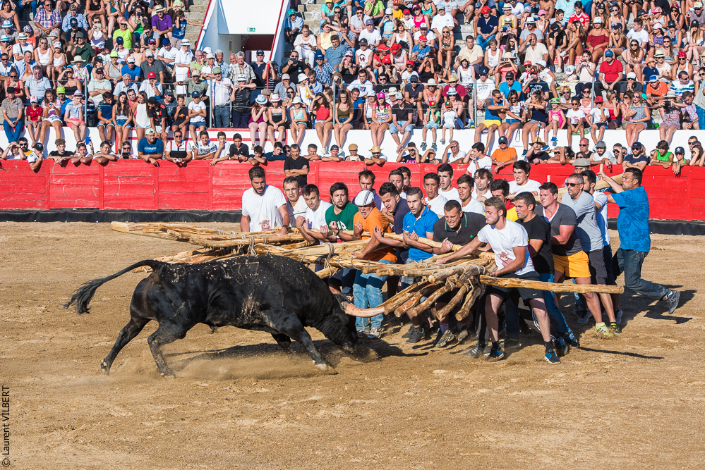 capeia arriana 20160815-178