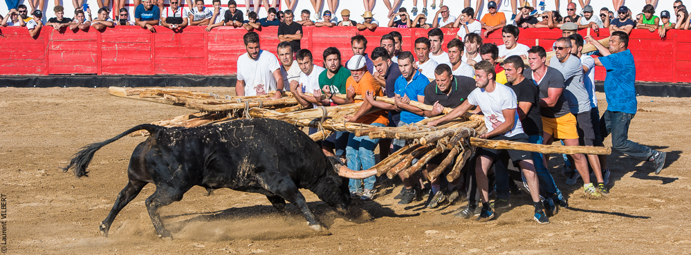 capeia arriana 20160815-178