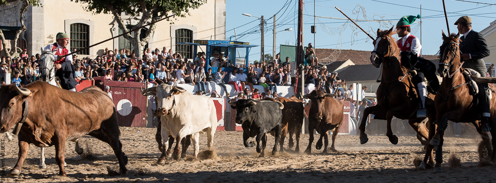 encerro Samora 20160820-347