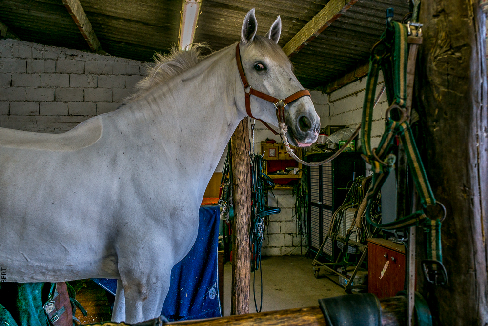 Salvador 20191119-001