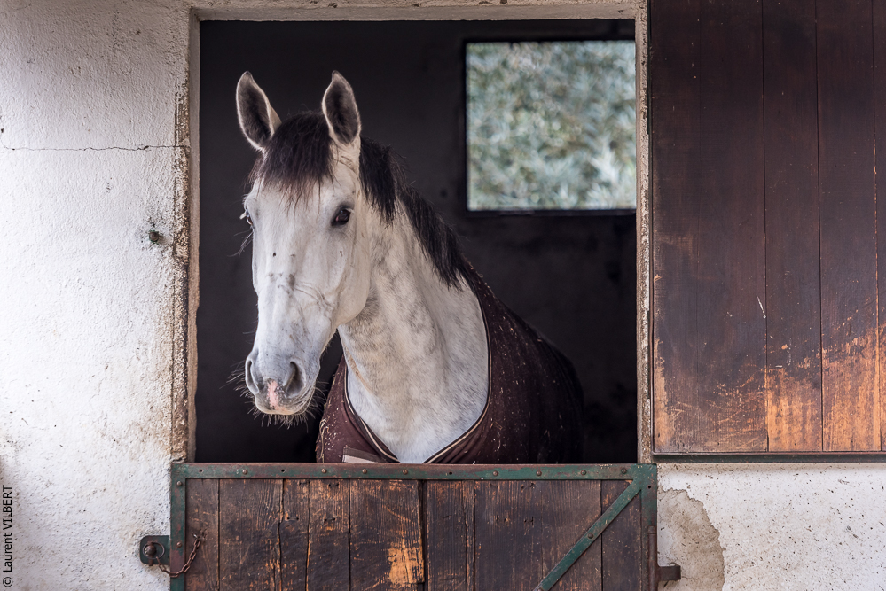 Salvador 20191119-002