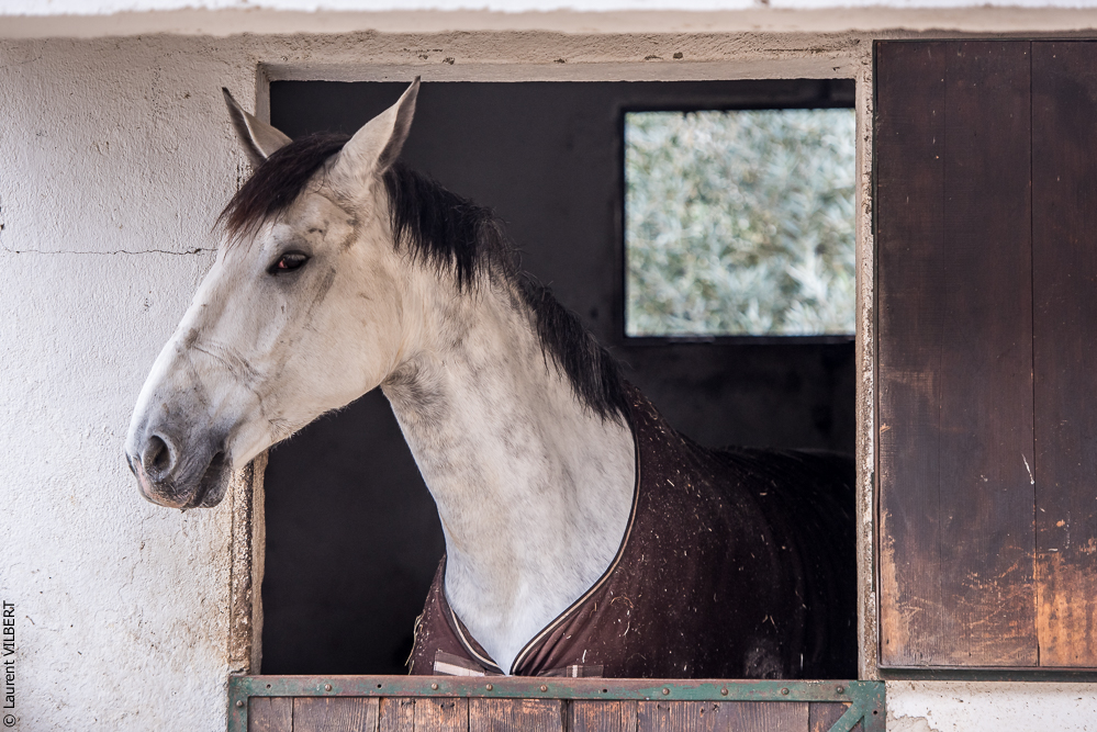 Salvador 20191119-004