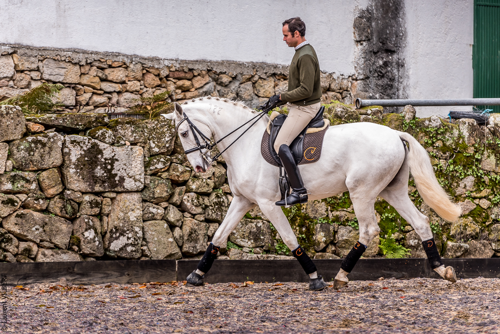 Salvador 20191119-007