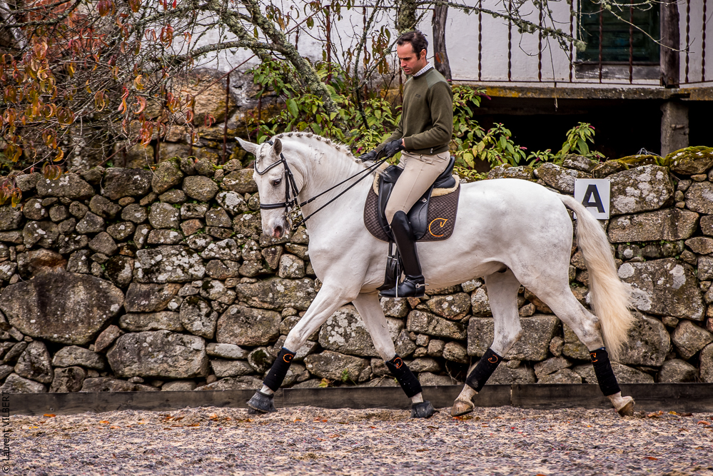 Salvador 20191119-009