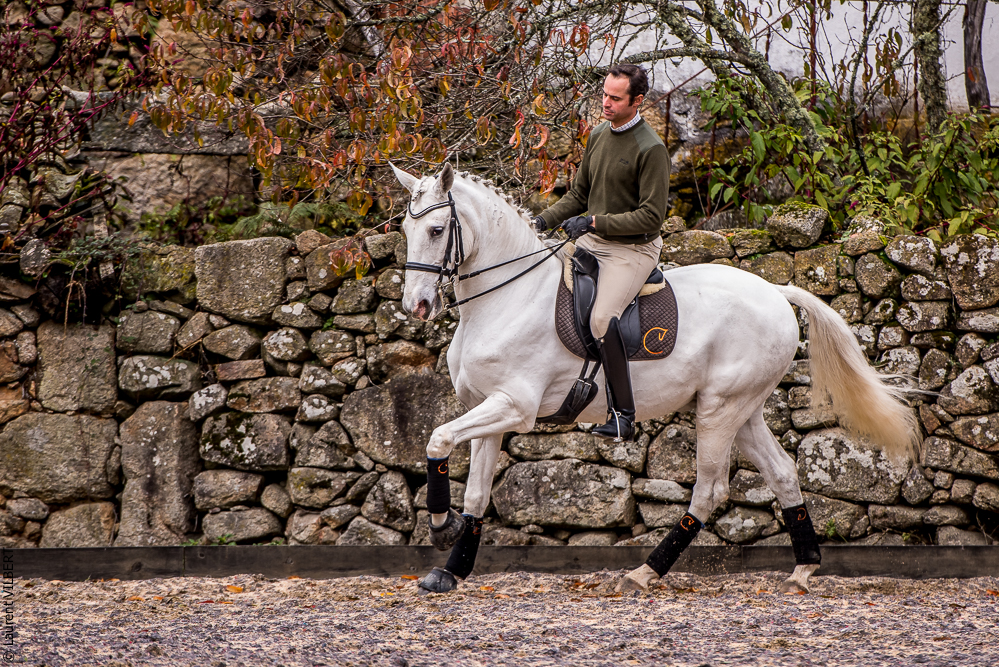Salvador 20191119-013