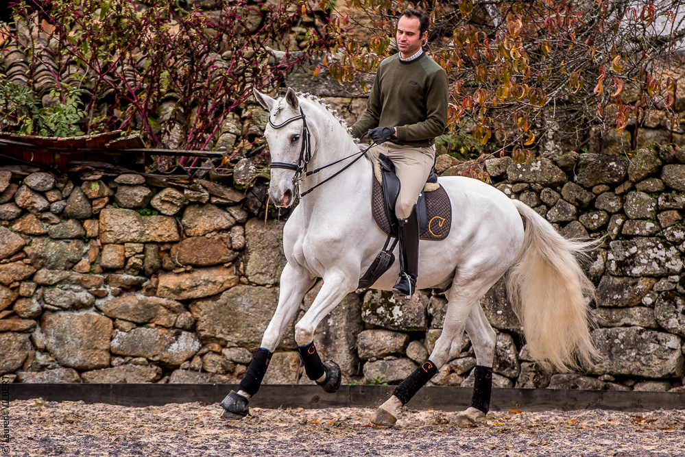 Salvador 20191119-014