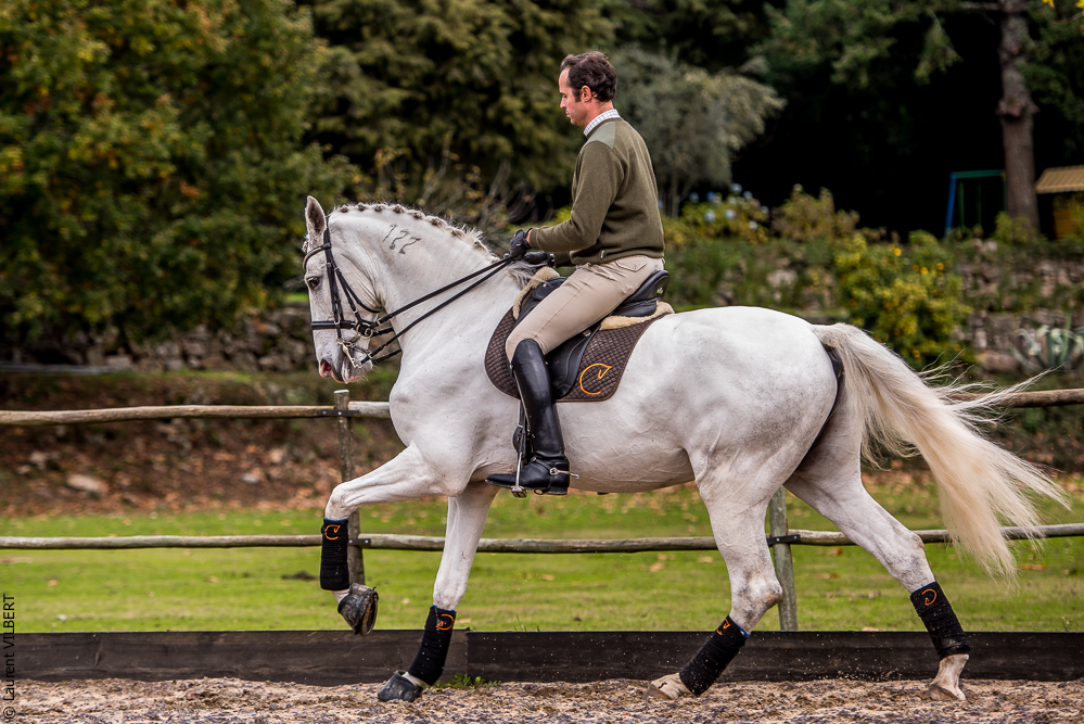 Salvador 20191119-020