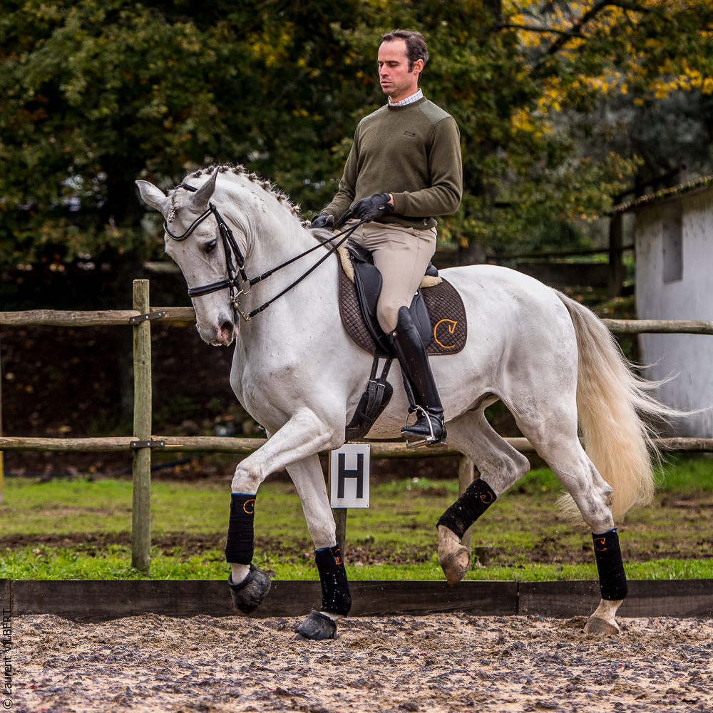 Salvador 20191119-031