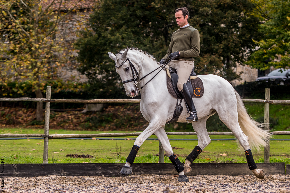 Salvador 20191119-033