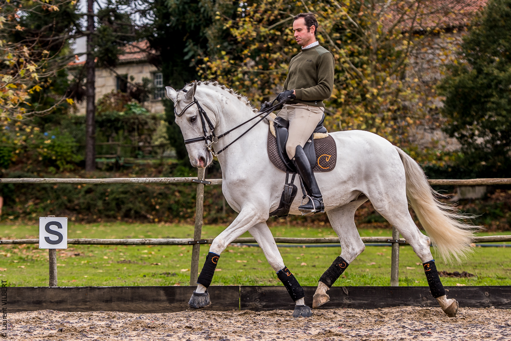 Salvador 20191119-035