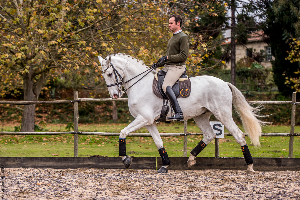 Salvador 20191119-037
