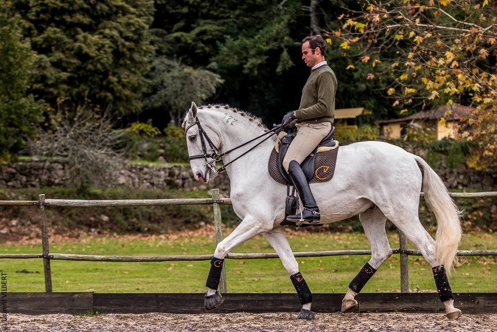 Salvador 20191119-039