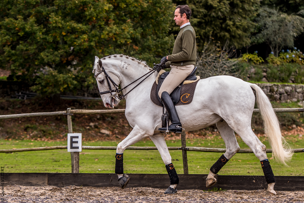 Salvador 20191119-041