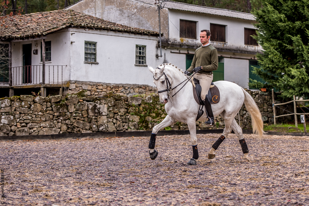 Salvador 20191119-042