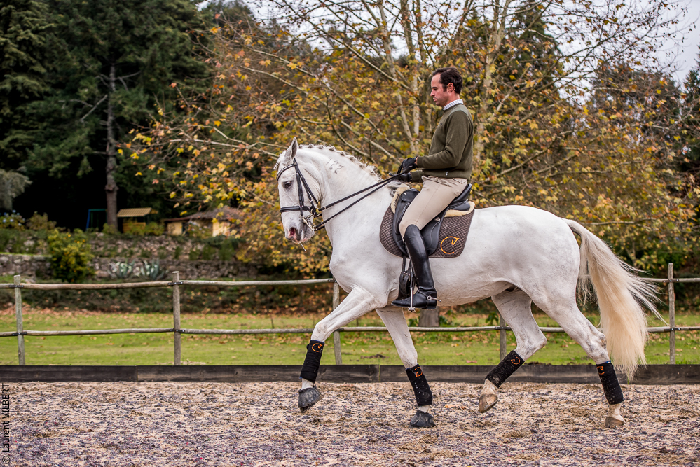 Salvador 20191119-044