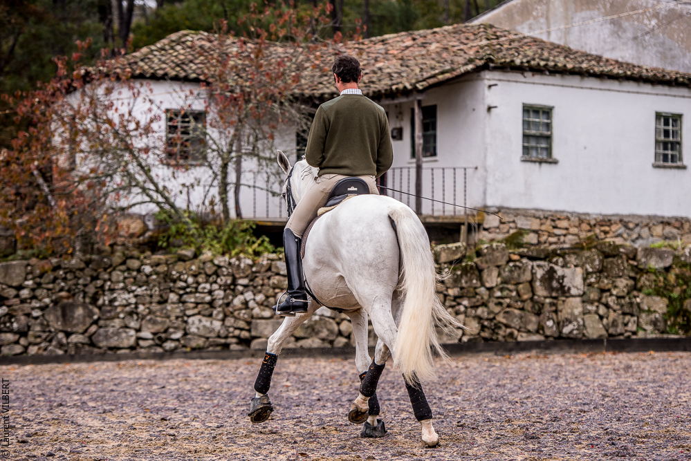 Salvador 20191119-045