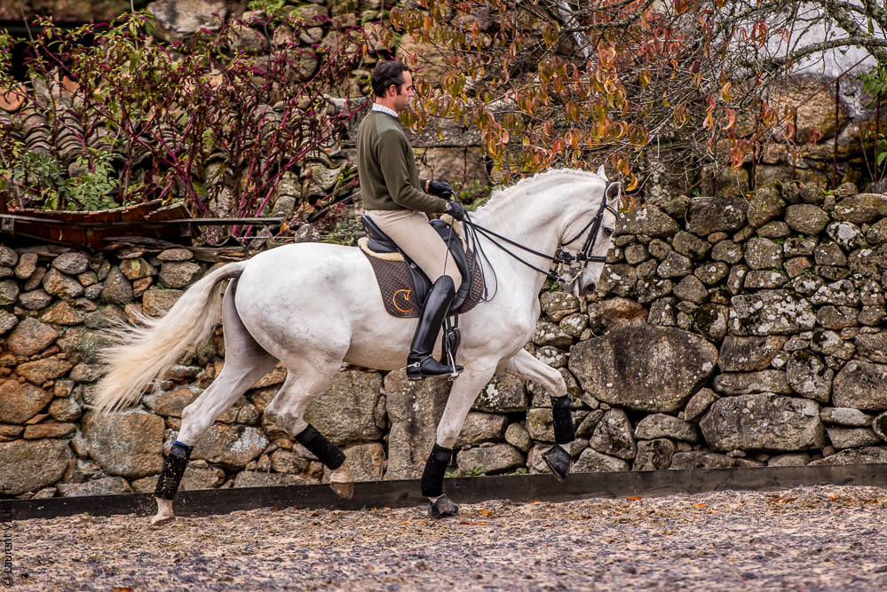 Salvador 20191119-047