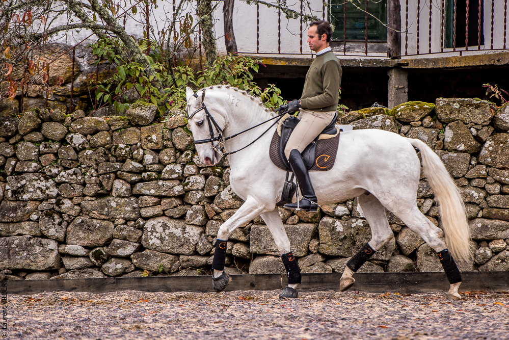 Salvador 20191119-052