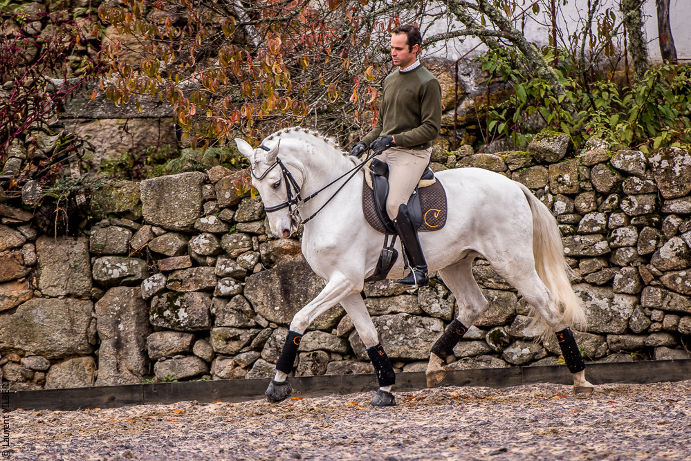 Salvador 20191119-053