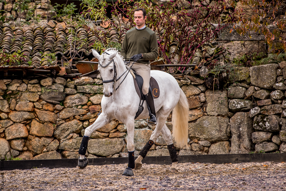 Salvador 20191119-054