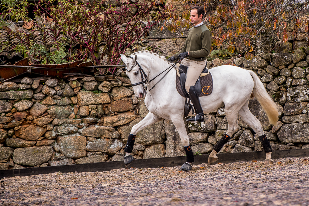 Salvador 20191119-061
