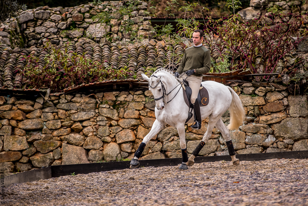 Salvador 20191119-062