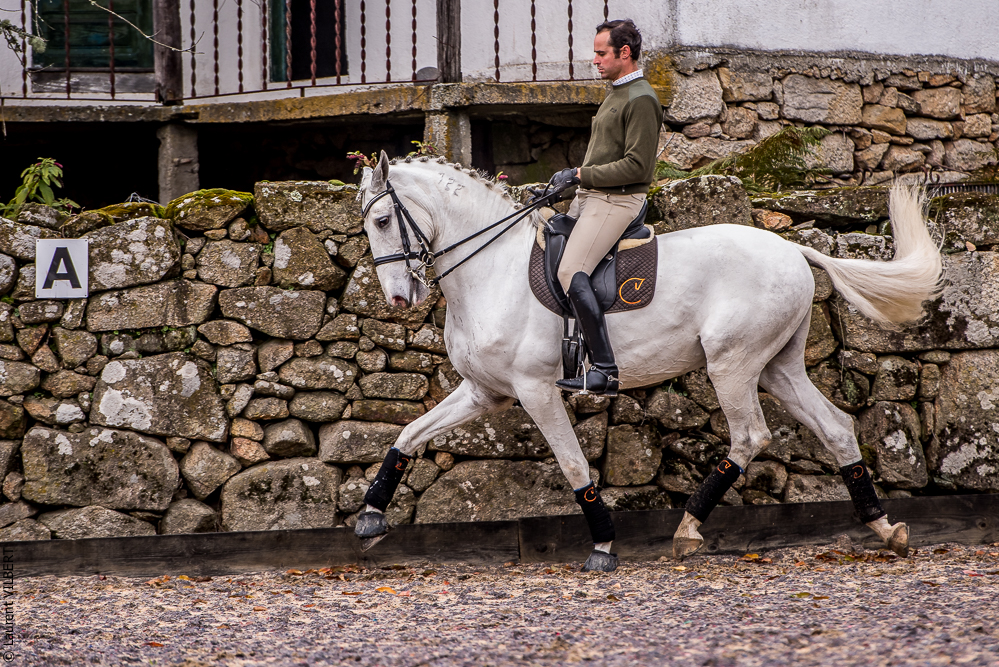 Salvador 20191119-065