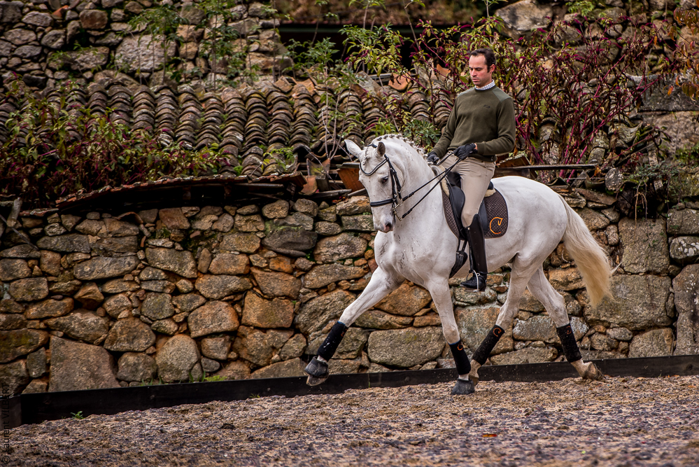 Salvador 20191119-066