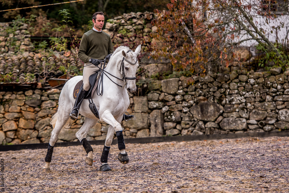 Salvador 20191119-067