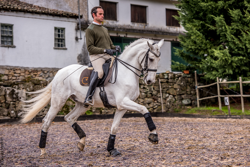 Salvador 20191119-068