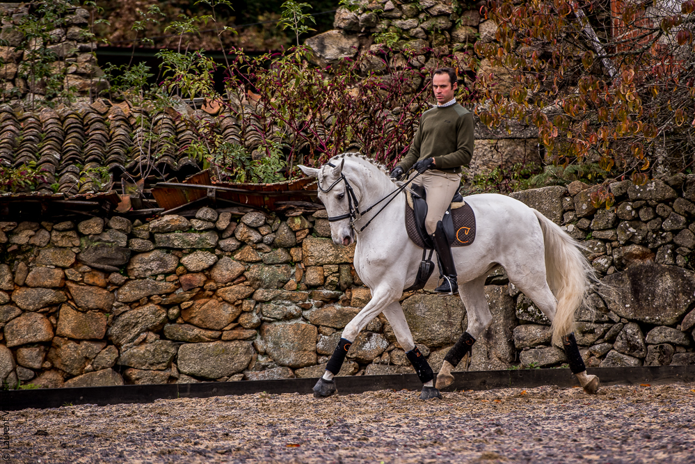 Salvador 20191119-070