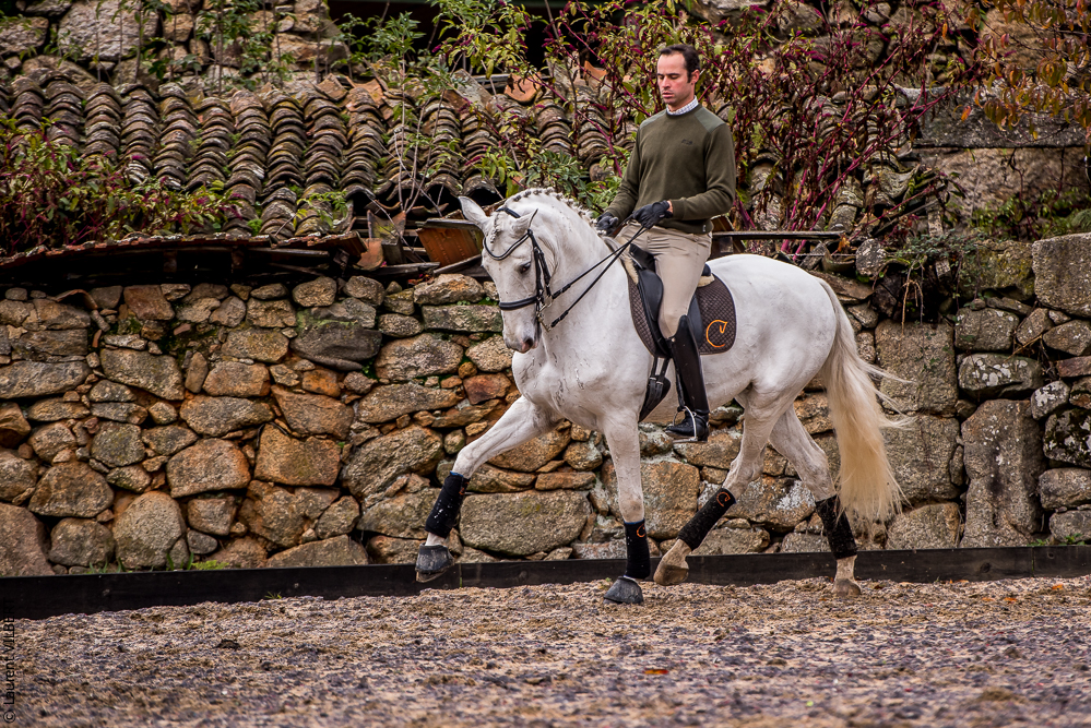 Salvador 20191119-071