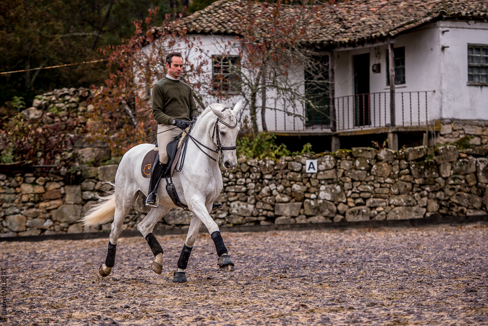 Salvador 20191119-072