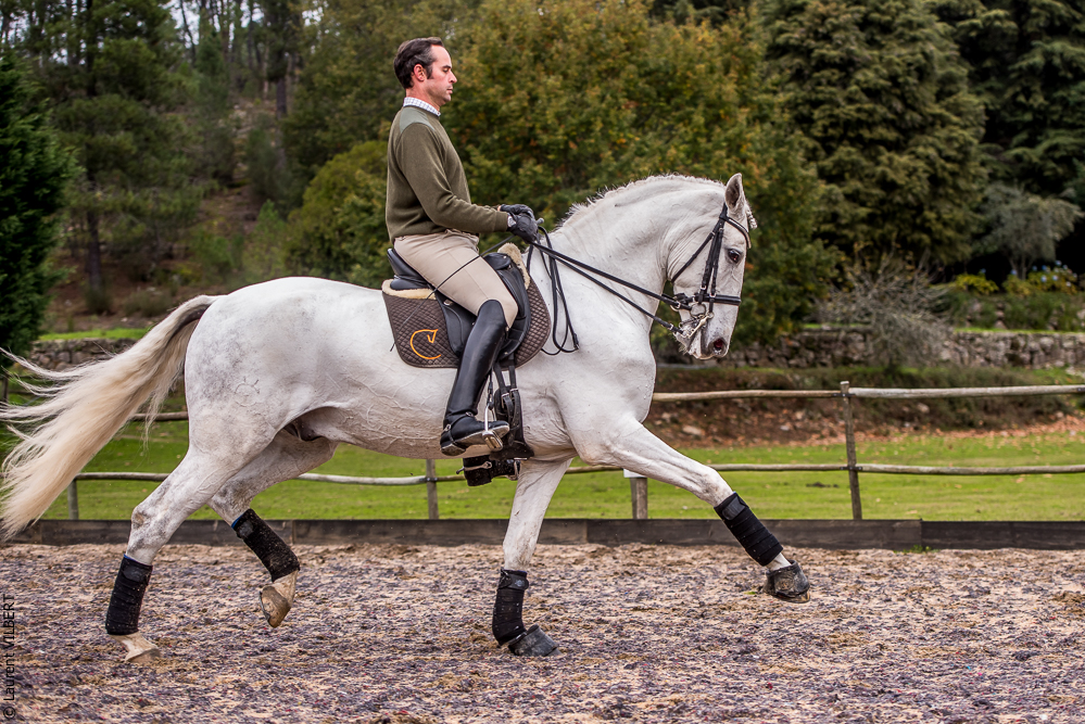 Salvador 20191119-074