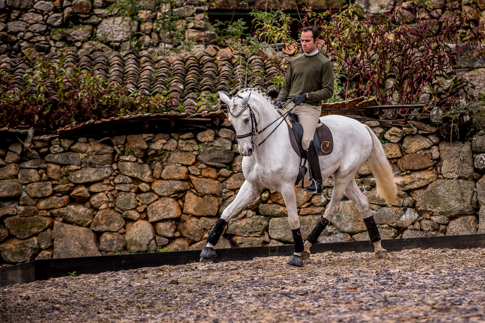 Salvador 20191119-075