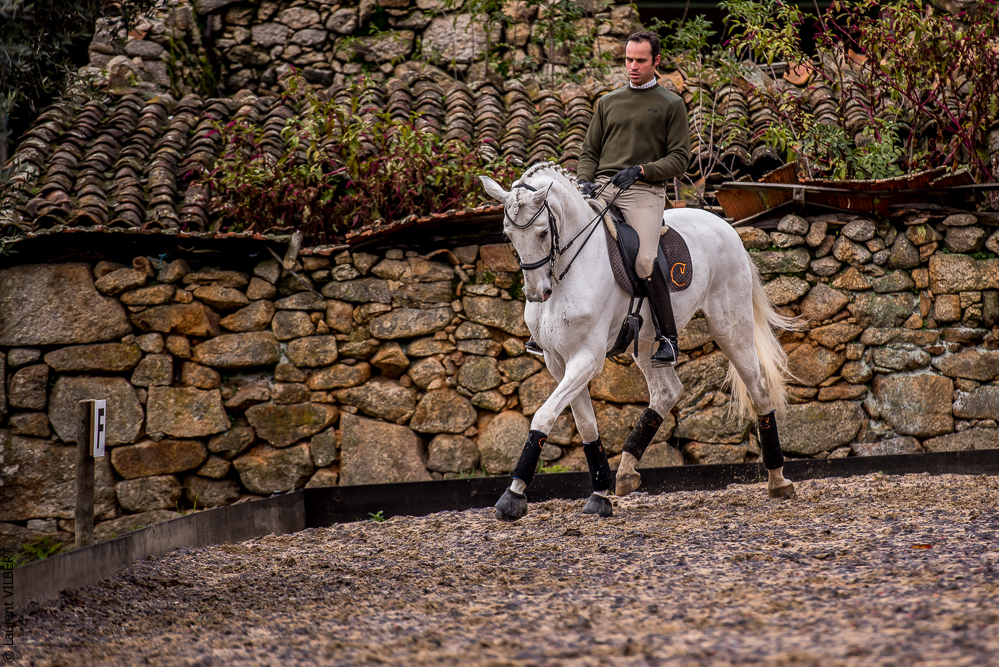 Salvador 20191119-076