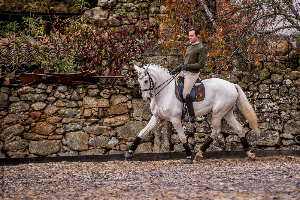 Salvador 20191119-079