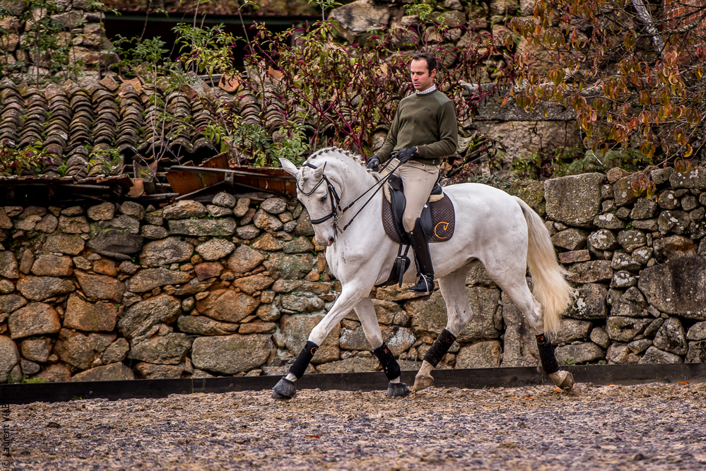 Salvador 20191119-080
