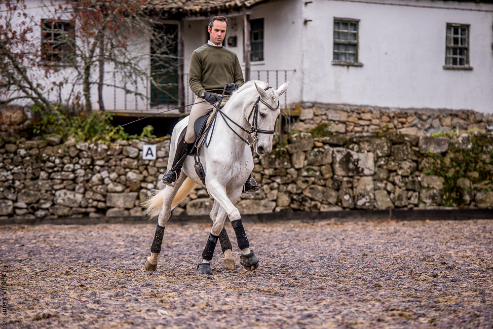 Salvador 20191119-082
