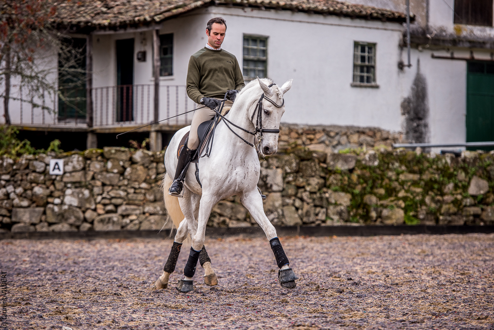 Salvador 20191119-083