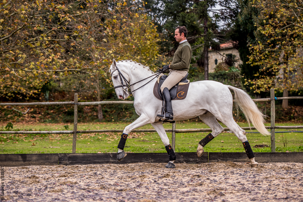 Salvador 20191119-085