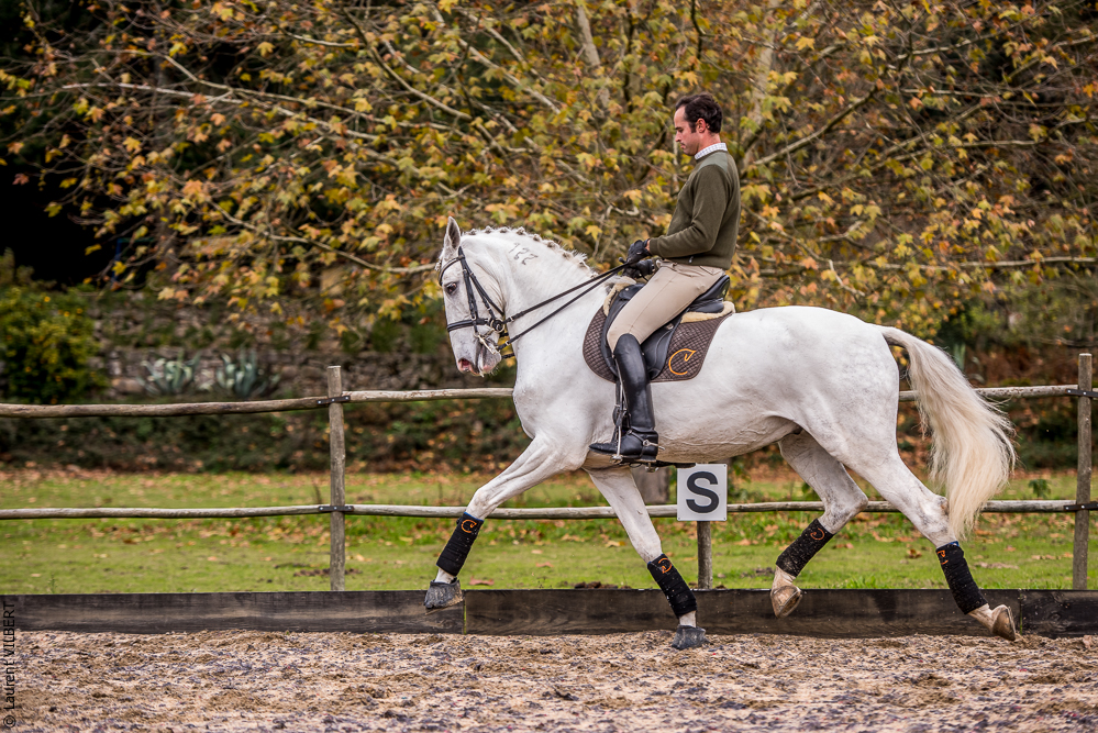 Salvador 20191119-086