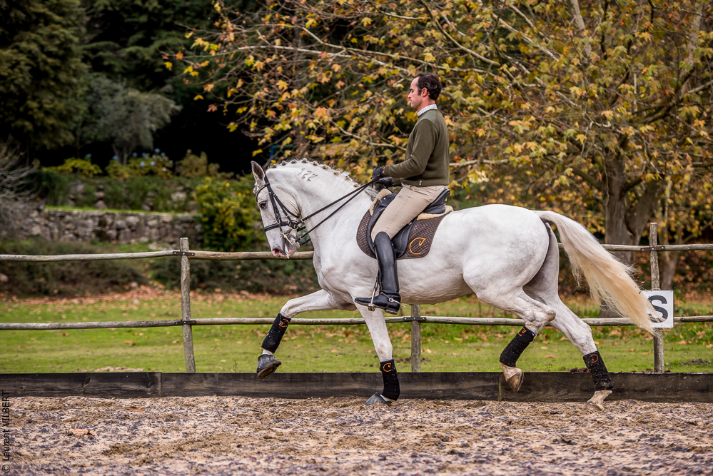 Salvador 20191119-087
