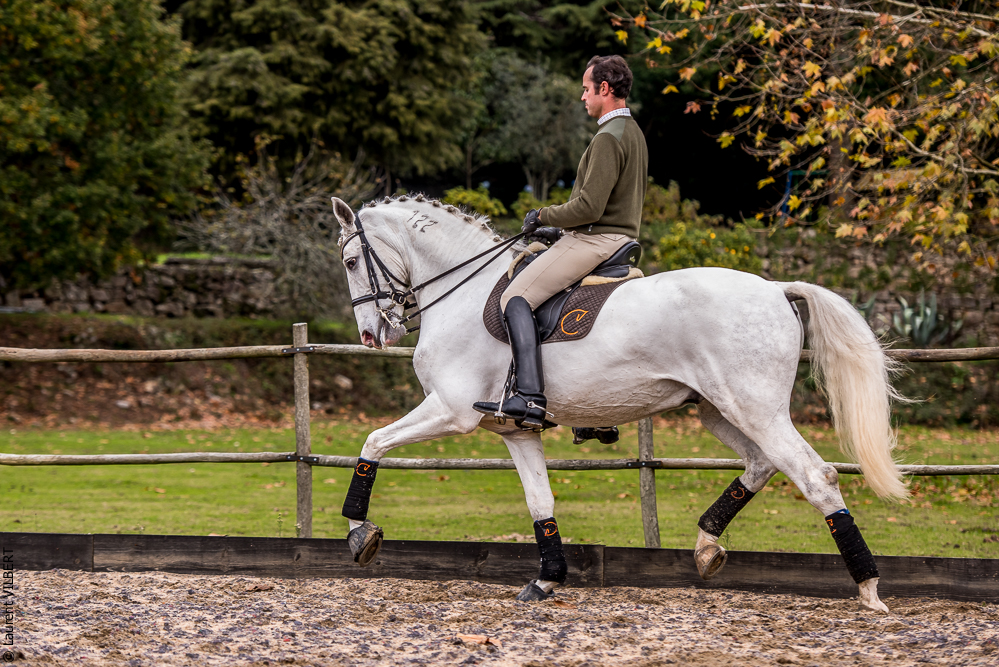 Salvador 20191119-088