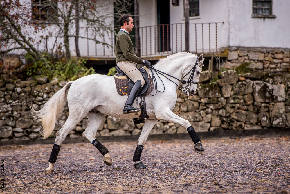 Salvador 20191119-090