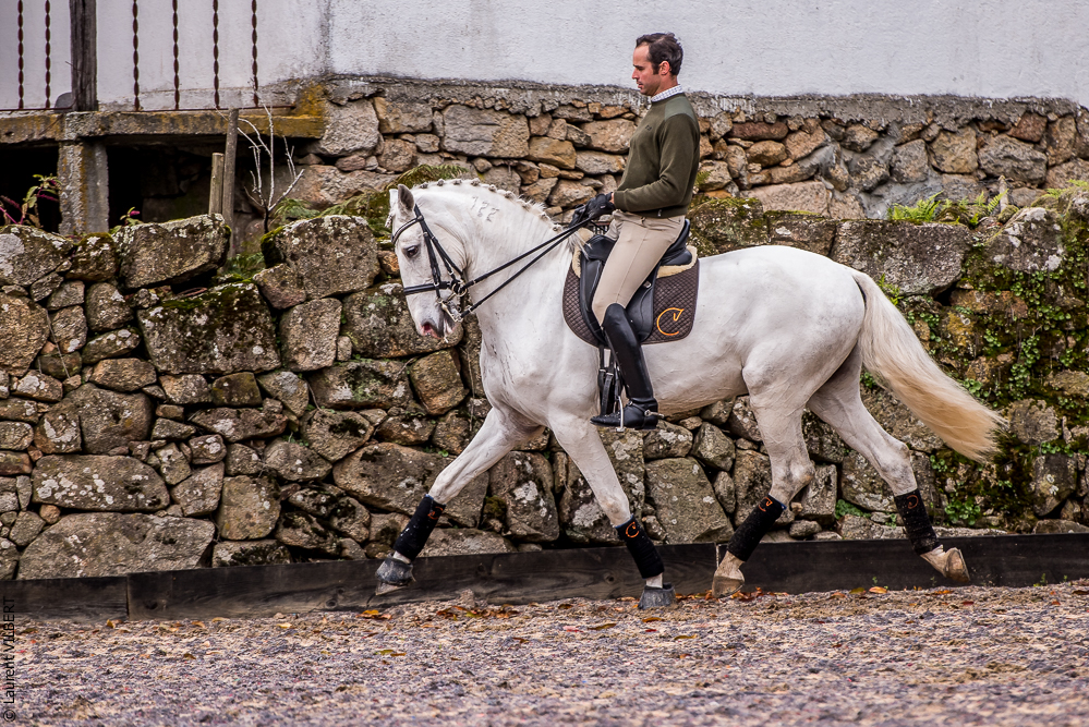 Salvador 20191119-091