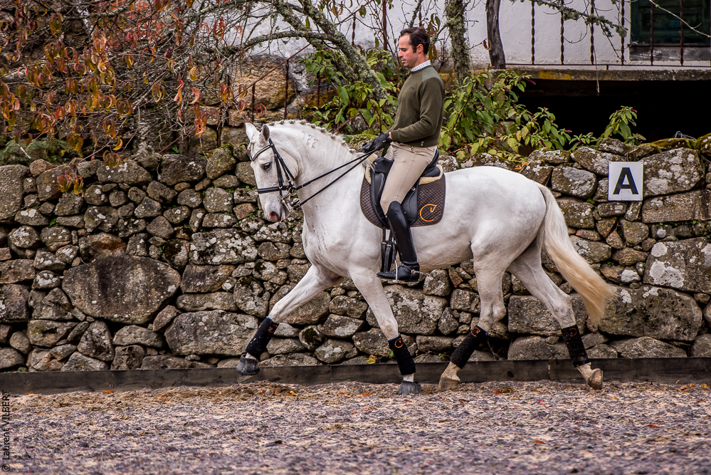 Salvador 20191119-093