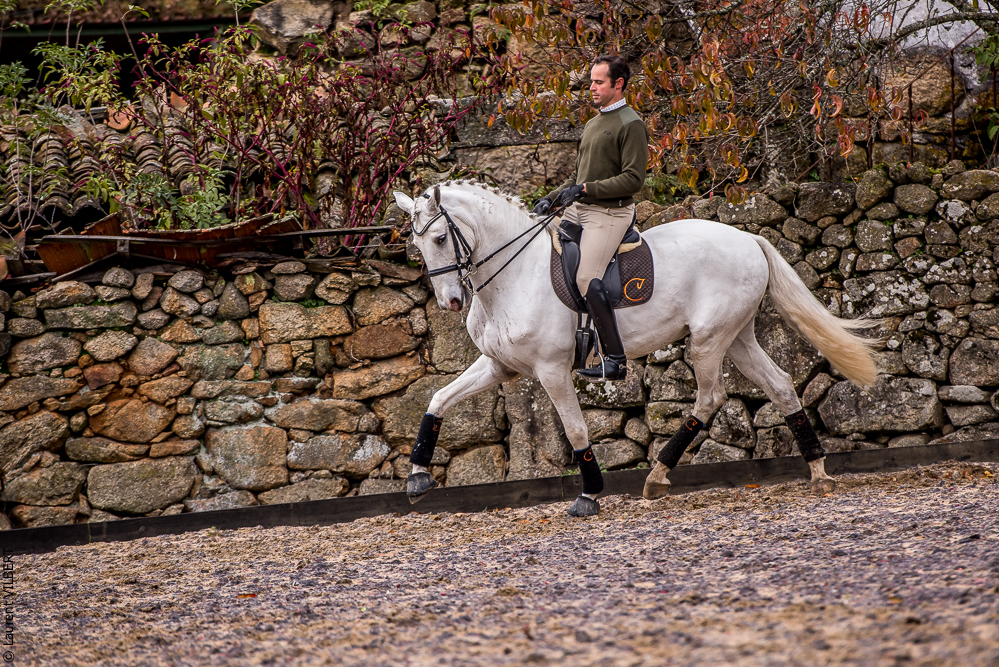 Salvador 20191119-094