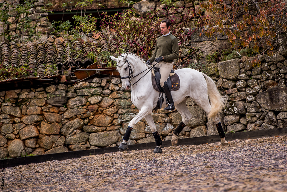 Salvador 20191119-095