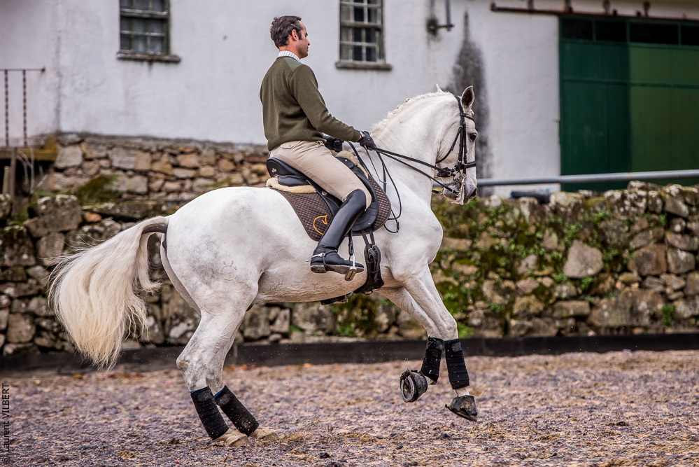 Salvador 20191119-102